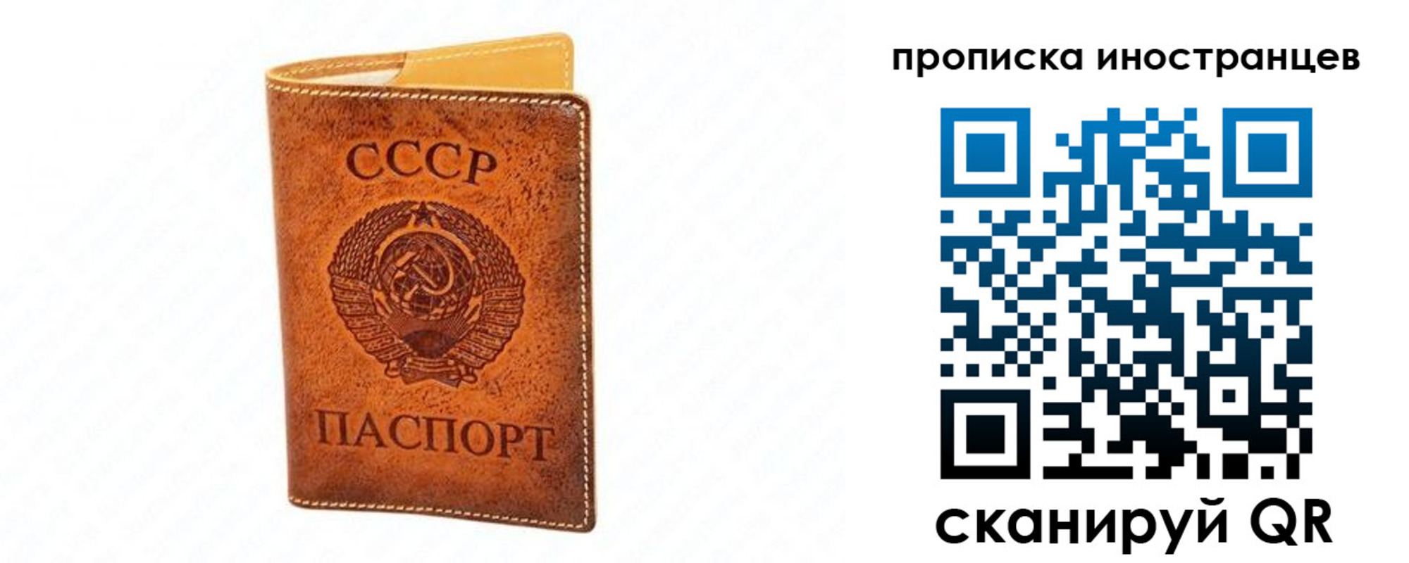 прописка для школы в Абинске